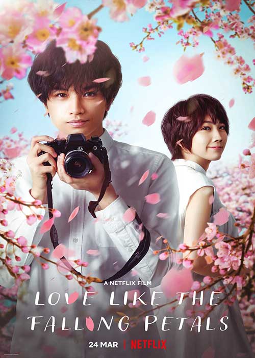 ดูหนังญี่ปุ่น Love Like the Falling Petals (2022) ใบไม้ผลิที่ไม่มีเธอเป็นซากุระ Netflix