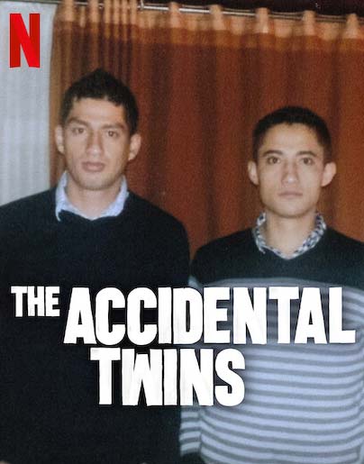 The Accidental Twins Netflix